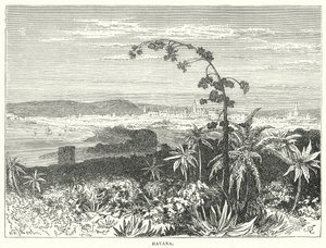 La Habana (grabado)