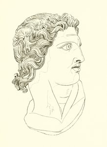 Cabeza, mostrando vigor masculino y resolución heroica de English School