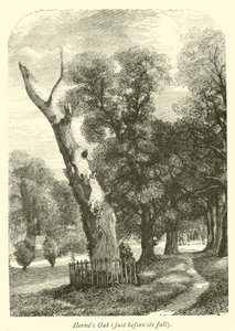 El Roble de Herne, justo antes de su caída