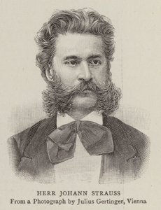 Herr Johann Strauss de English School