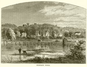 Estanques de Highgate de English School