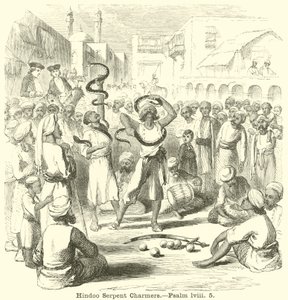 Encantadores de serpientes hindúes de English School