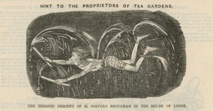 Sugerencia para los propietarios de jardines de té
