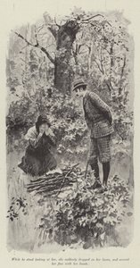 Su buena hada, por Mary Elizabeth Braddon de English School