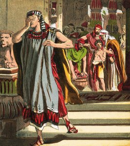 Historia de José