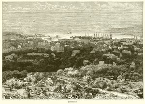 Honolulu de English School