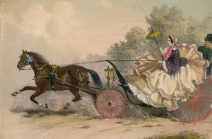 Caballo y carruaje a toda velocidad con una dama al látigo; prostitución de English School