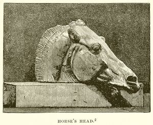 Cabeza de Caballo de English School
