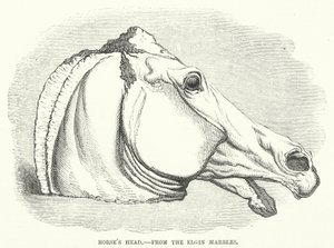 Cabeza de Caballo, de los Mármoles de Elgin de English School