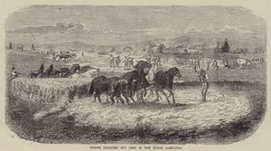 Caballos desgranando maíz en la campiña romana (grabado) de English School