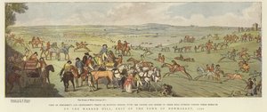 Caballos haciendo ejercicio en Warren Hill de English School