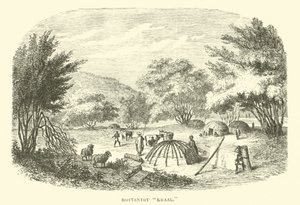 Kraal hotentote