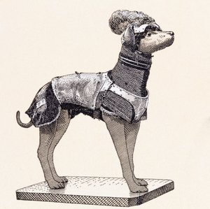 Perro de caza con armadura