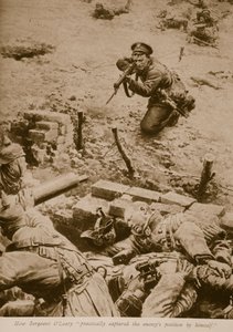 Cómo el sargento O