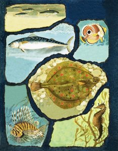 Cómo los peces escapan de sus enemigos