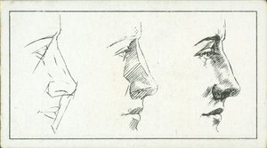Cómo dibujar: La nariz (litografía) de English School