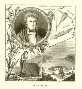 Hugh Miller de English School