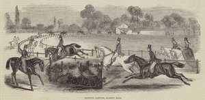 Terrenos de caza, Camino de Harrow de English School
