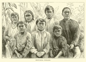 Indios Hypurina de English School