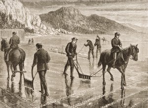 Cosecha de hielo en el río Hudson, estado de Nueva York, c.1870, de 