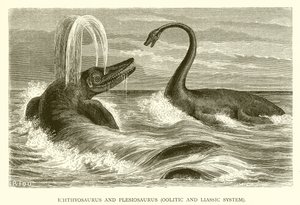 Ichthyosaurus y Plesiosaurus, Sistema Oolítico y Liásico de English School