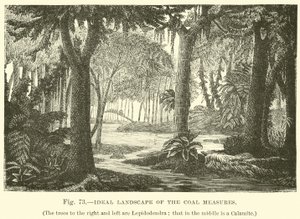 Paisaje Ideal de las Medidas del Carbón de English School