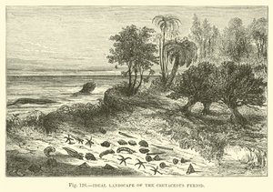Paisaje Ideal del Período Cretácico