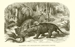 Iguanodon y Megalosaurus, Sistema Cretácico de English School