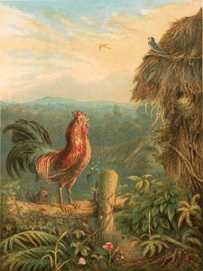 Ilustración para la Elegía de Gray de English School