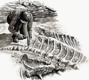 En los días de los dinosaurios: Batalla de los gigantes de English School