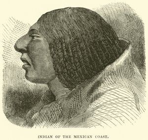 Indio de la costa mexicana de English School