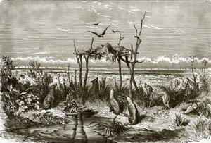 Sepulcro indio en la pradera de hierba alta, en el río Saskatchewan