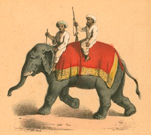 Indios en un elefante