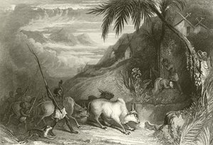 Infanticidio en Madagascar de English School
