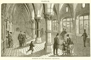 Interior del acuario de Brighton de English School
