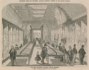 Vista interior de la nueva Galería Botánica de English School