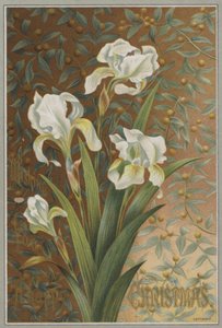 Iris (cromolito)