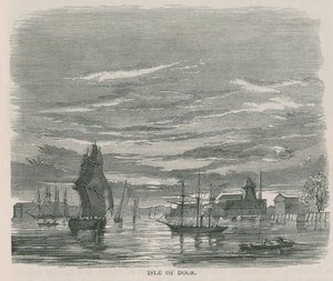 Isla de los Perros de English School