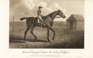 Jinete en el célebre caballo de carreras Mufti, perteneciente a su Gracia el Duque de Bedford de English School