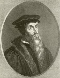 John Calvin de English School