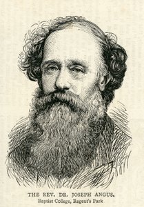 Joseph Angus (1816-1902) ilustración de The Graphic 10 de julio de 1875 de English School