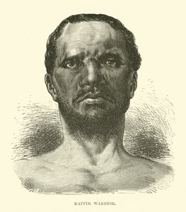 Guerrero cafre