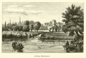 Kidney Backwater de English School