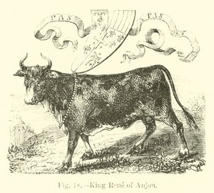 Rey René de Anjou