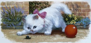 Gatito con caracol y bola de English School