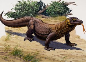 Dragón de Komodo (gouache sobre papel)