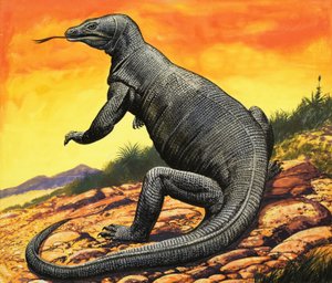 Dragón de Komodo de English School