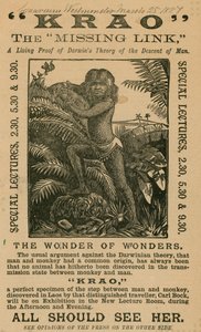 Krao, El Eslabón Perdido, exhibido en el Acuario, Westminster, Londres, en 1887 de English School