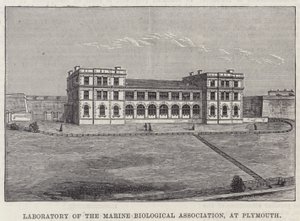 Laboratorio de la Asociación Biológica Marina, en Plymouth