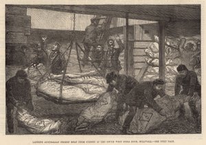 Descargando carne congelada australiana en el Muelle del Suroeste de India, Millwall de English School